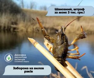 До раків зась!