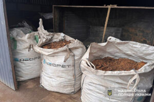 Хмельницькі правоохоронці викрили групу осіб на нелегальному вирощуванні тютюну та виготовленні тютюнової продукції