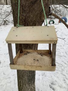 І корисно, і пізнавально