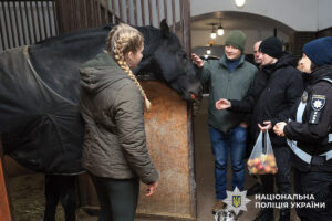 Справитися зі стресом допоможуть коні