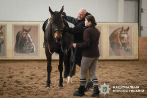 Справитися зі стресом допоможуть коні