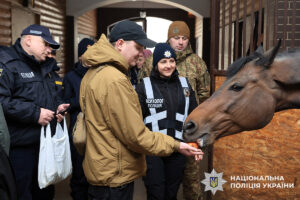 Справитися зі стресом допоможуть коні