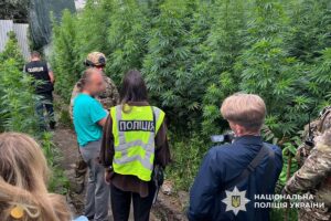 2500 кущів конопель виростив у Хмельницькому «наркоаграрій»