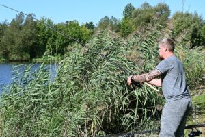 Від напруги до тиші